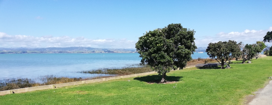 beachfront accommodation in Kawhia